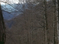 Valle di Cacciagrande - Fondillo