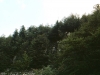 lago verde