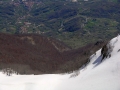 Fustaia di protezione del M. Viglio