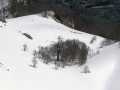 Fustaia di protezione del M. Viglio