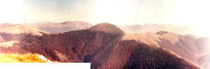 La faggeta di Val Cervara nel 1982